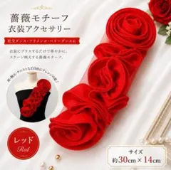 薔薇モチーフ 社交ダンス フラメンコ ベリーダンス 衣装 装飾 レッド