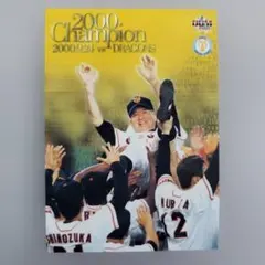 読売ジャイアンツ 坂本勇人 HAYATO2000 カウントダウン缶バッジ コンプ