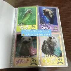 2026年最新】鳥羽水族館キラちゃんの人気アイテム - メルカリ