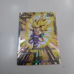 孫悟空Jr. リーダーパラレル　リーパラ　誇り高き戦闘民族