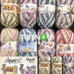 T-BEN❇️様ページ