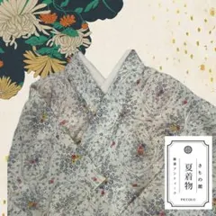 【単衣】絽 身丈161.5㌢ 薄物 夏 着物 小紋 鳥の子色 着物70