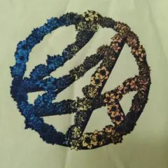 ハワイ購入【 24karats SURF 】 LDH　Tシャツ アロハ　花柄ロゴのサムネイル