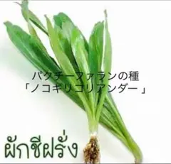 すばまる様 リクエスト 2点 まとめ商品