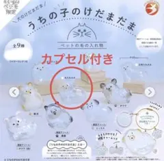 うちの子のけだまだま　ガチャ　丸たれみみ