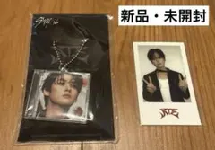 StrayKids　スキズ　MINI CD-KEYRING チェキ風トレカ　リノ