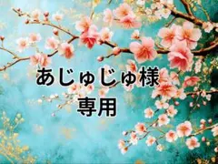 あじゅじゅ様 専用
