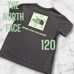 Item thumbnail for item bb0f514a-4bb8-4420-b495-aa82f52a565b