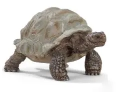 schleich シュライヒ　ゾウガメ　亀　カメのサムネイル
