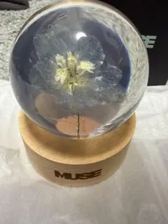 BTS Jimin ジミン MUSE Paper Weight ペーパーウェイト BTS Jimin Muse BLOOMING ver. Flower Paper Weight NEW item rare