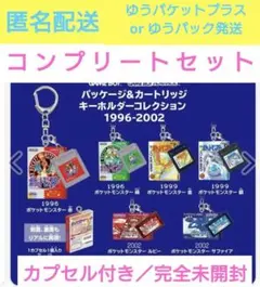 ポケモン パッケージ カートリッジ キーホルダー コレクション