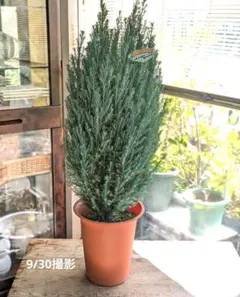 ◎MON◎様 リクエスト 2点 まとめ商品