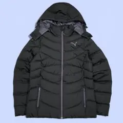 Item thumbnail for item d82a9faa-2539-43a0-9444-23ba22b3e4a1