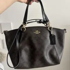 か*氷様 超美品 COACH シグネチャー ショルダーバッグ ブラウン - メルカリ