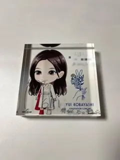 欅坂46 土生瑞穂 小林由依 直筆サイン入りポスター 櫻坂46 土生瑞穂 直筆サイン入りポスター 欅坂46 土生瑞穂 小林由依