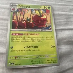 カミッチュ