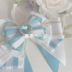 専用ページ