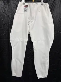 Item thumbnail for item b0d0d2f0-c4ab-481a-b4b5-01598f236e70