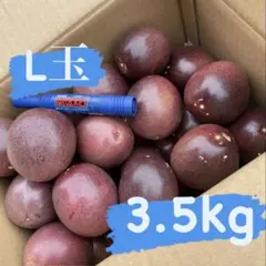L2.5kg+規格外500g パッションフルーツ - メルカリ
