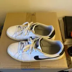 Item thumbnail for item 3a16c79c-8878-4681-bf61-6368357aae51