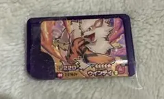 ウインディ スーパートレジャー ポケモンフレンダ