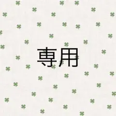 専用ページ