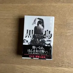 NEW 黒鳥 横関大