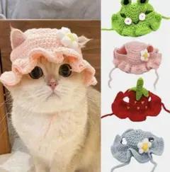 Item thumbnail for item 9db0fcb3-c648-4a20-8dbe-b04fa7ad7456