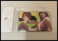 ★Sonin ソニン カレーライスの女 カードケース★