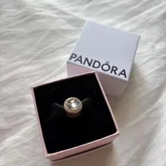Pandora フィリピン 限定チャーム 定価13,650円 - メルカリ