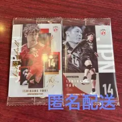 バレーボール 男子 ツインウエハース レア 石川祐希