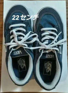 Item thumbnail for item d3443ada-752c-469f-9fe5-c75ddec34bbe