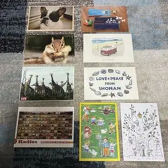 ポストカード 9枚セット デザイン多様