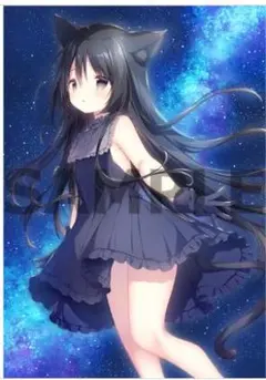 星空鉄道とシロの旅 ノワールタペストリー - メルカリ