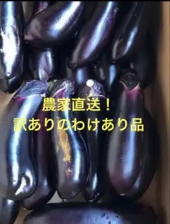 2026年最新】茄子…の人気アイテム - メルカリ