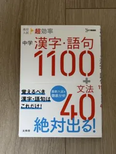 高校入試・中学国語 参考書まとめ売り