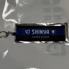 ガンバ大阪 マルチクリーナーキーホルダー