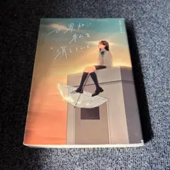 小説 世界が私を消していく