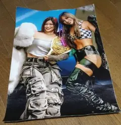 プロレス ビジュアル ポスター　カイリ・セイン＆イヨ・スカイ