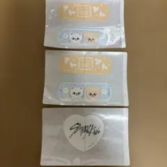 StrayKids チャームエイド パピム３枚セット