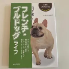 Item thumbnail for item 340b69c1-0a04-4fb3-bfda-320dcdc06bb2