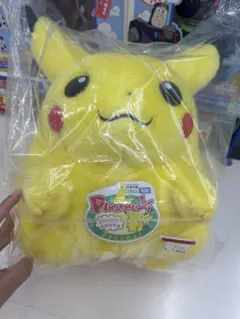 【新品未使用】 ポケモン30周年記念おかえり!ピカチュウ1/1