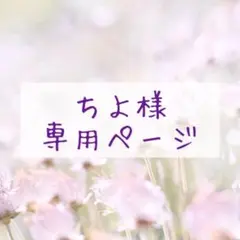 専用ページ