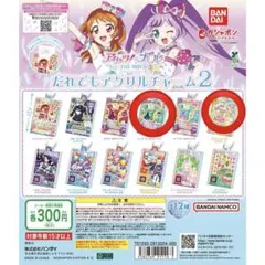だれでもアクリルチャーム2 2点セット