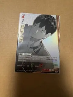 ハイキュー　バボカ　影山飛雄SP