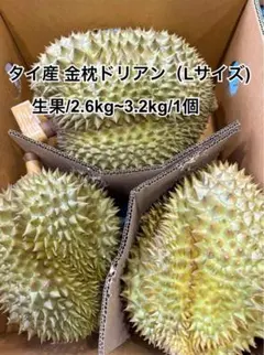 送料無料 タイ産 ドリアン 2.6~3.2kg L号 金枕 生ドリアン 新鮮果物のサムネイル