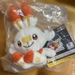 ポケットモンスター ヒバニー ぬいぐるみ 一番くじのサムネイル
