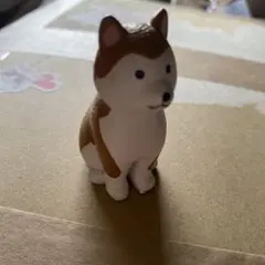 柴犬