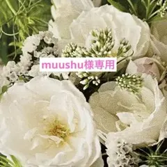 muushu様 リクエスト 2点 まとめ商品