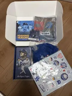 ドジャースファンクラブ入会特典限定BOX全6点セット　ボブルヘッド含　新品未使用 ドジャースファンクラブ入会特典限定BOX全6点セット ボブルヘッド含